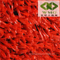 red colour synthetic grass and soccer turf factory